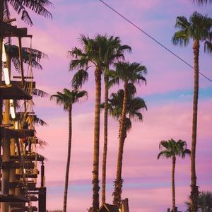 Meet your Posher, Shira